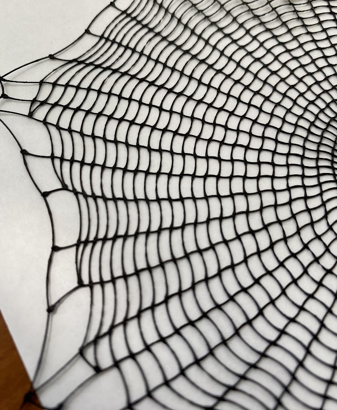 Close up of a 3D web