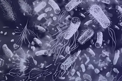 Illustration of various bacteria and microorganisms on a dark background.